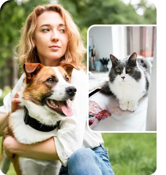 Veterinario profesional atendiendo mascotas